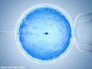 三代试管供卵生男孩